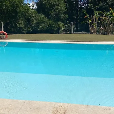 Tolo * Sa Pobla